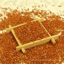 Red millet in husk machine cleaned
